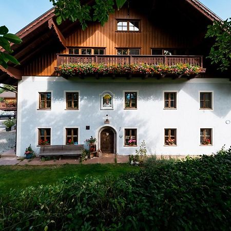 Bauernbraugut Apartment Hallein Bagian luar foto